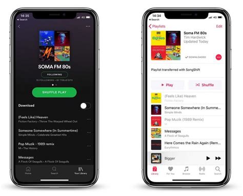 How to Transfer a Playlist from Apple Music to Spotify: A Journey Through Digital Melodies