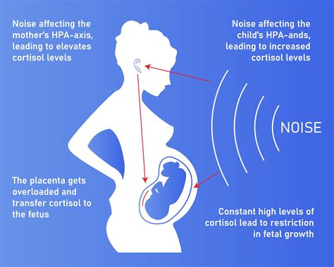 is loud music bad for baby in womb? does it affect the baby's hearing development?