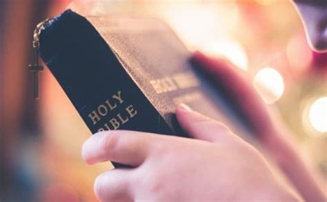 What are the Extra Books in the Catholic Bible? And How Do They Enrich Our Understanding of Faith and History?